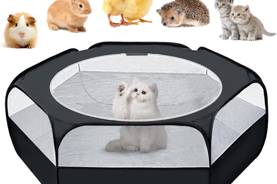 Ultimate Pet Haven: UWE Small Animal Playpen Review