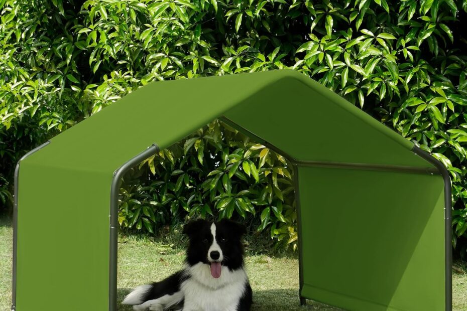 Ultimate Pet Protection: Review of the Dog Shade Shelter Tent