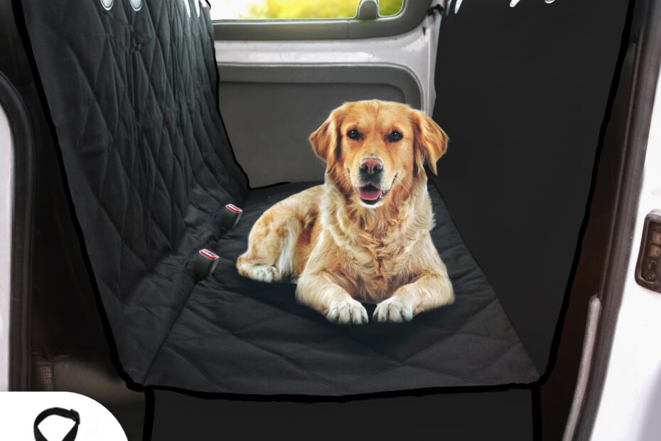 Ultimate Protection for Your Car: Doggie World Dog Car Seat Cover Review