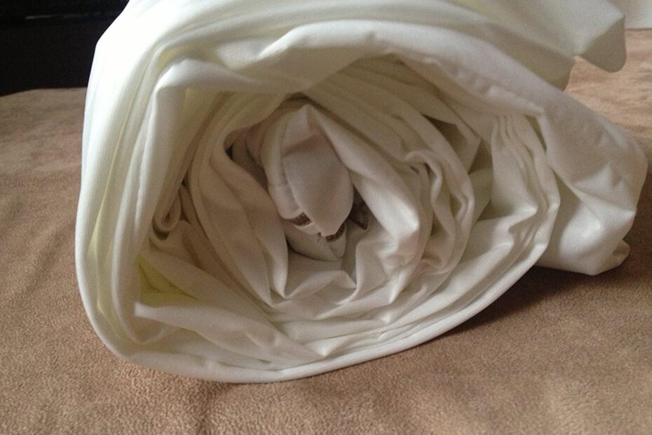 Ultimate Protection for Your Pup: Review of Barker Beds Waterproof Liner