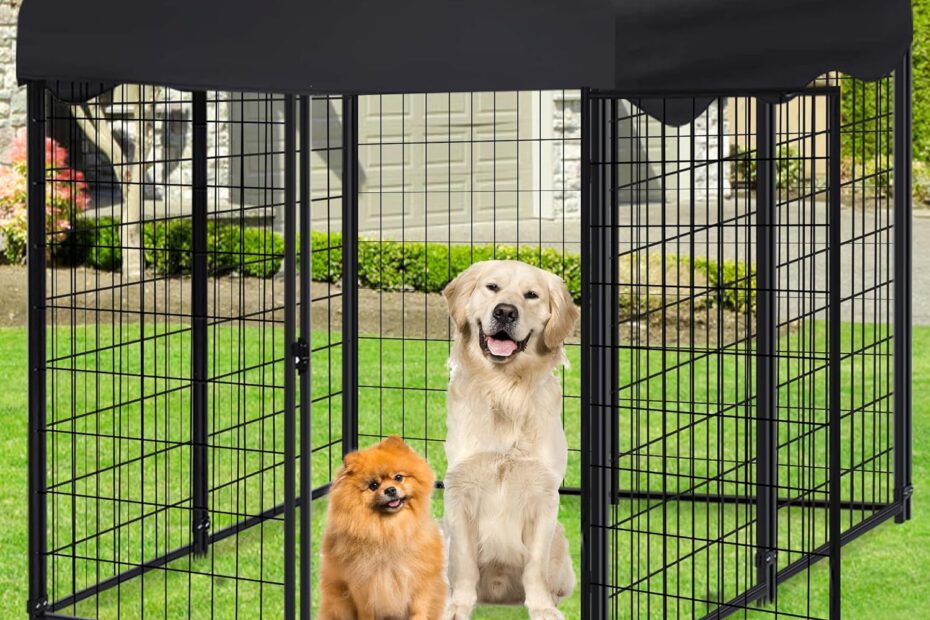 Ultimate Protection for Your Pup: Review of the Outdoor Dog Kennel with Roof