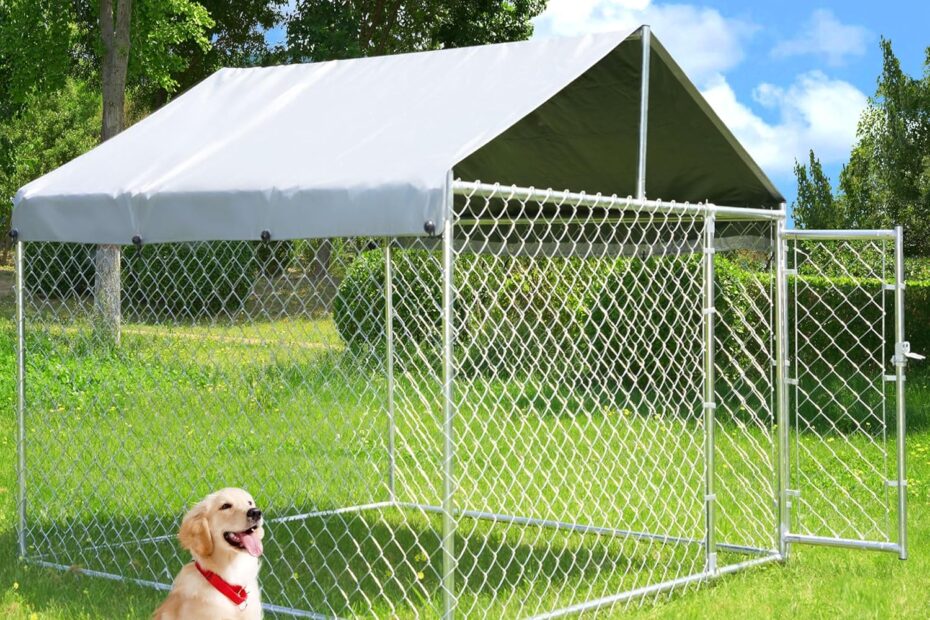 Ultimate Protection: Review of the Large Heavy-Duty Outdoor Dog Kennel
