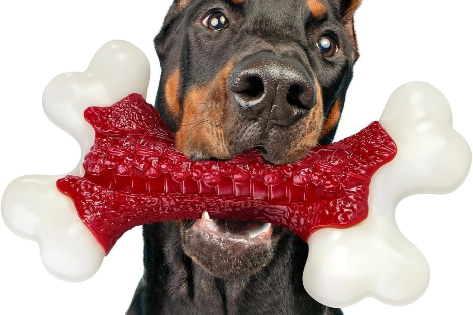 Ultimate Review: Tough Dog Toys for Aggressive Chewers – Almost Indestructible!