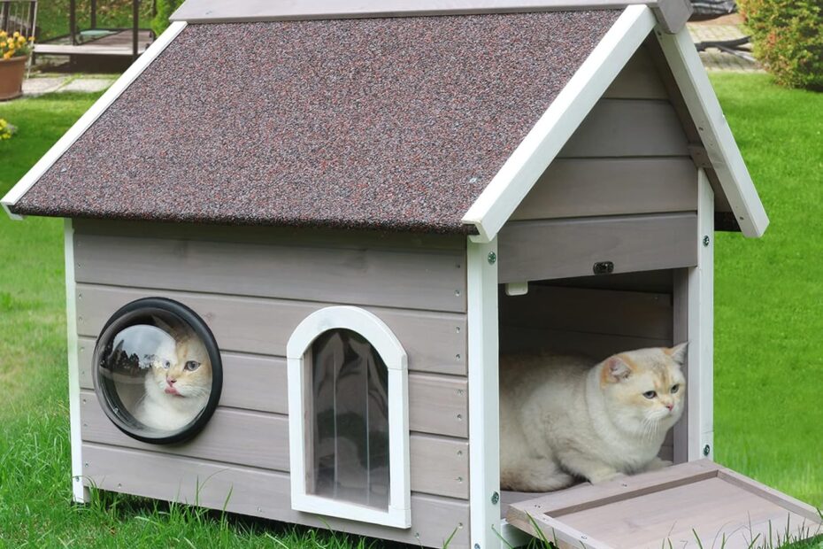 Ultimate Shelter: Rockever Outdoor Cat House Review for Feral Cats