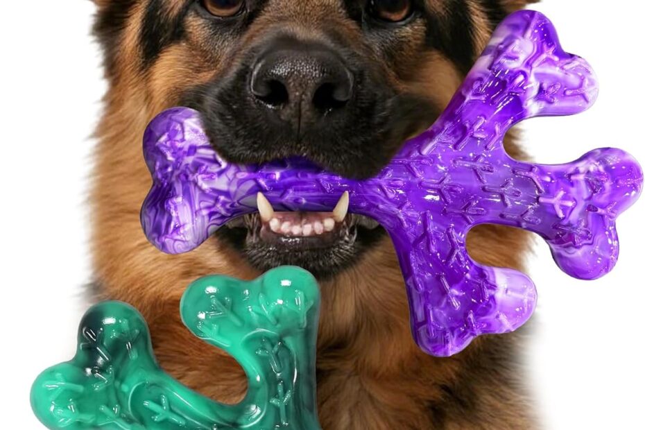 Unbreakable Fun: The Ultimate Chew Toys for Aggressive Canines!