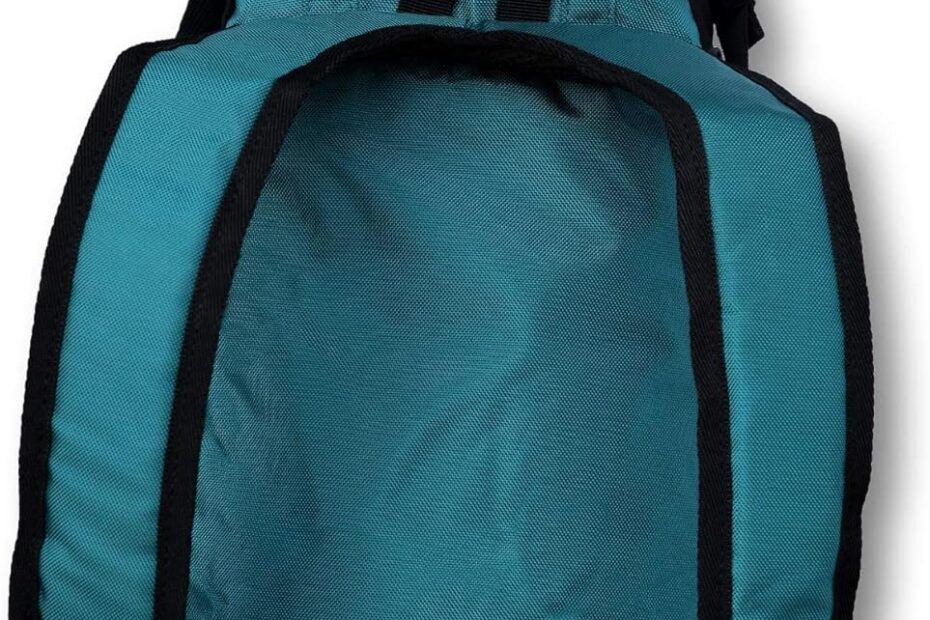 Unleash Adventure: K9 Sport Sack Trainer Review for Small Dogs