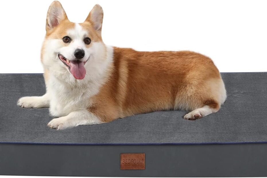 Unleash Comfort: Bedfolks 4" Orthopedic Memory Foam Dog Bed Review