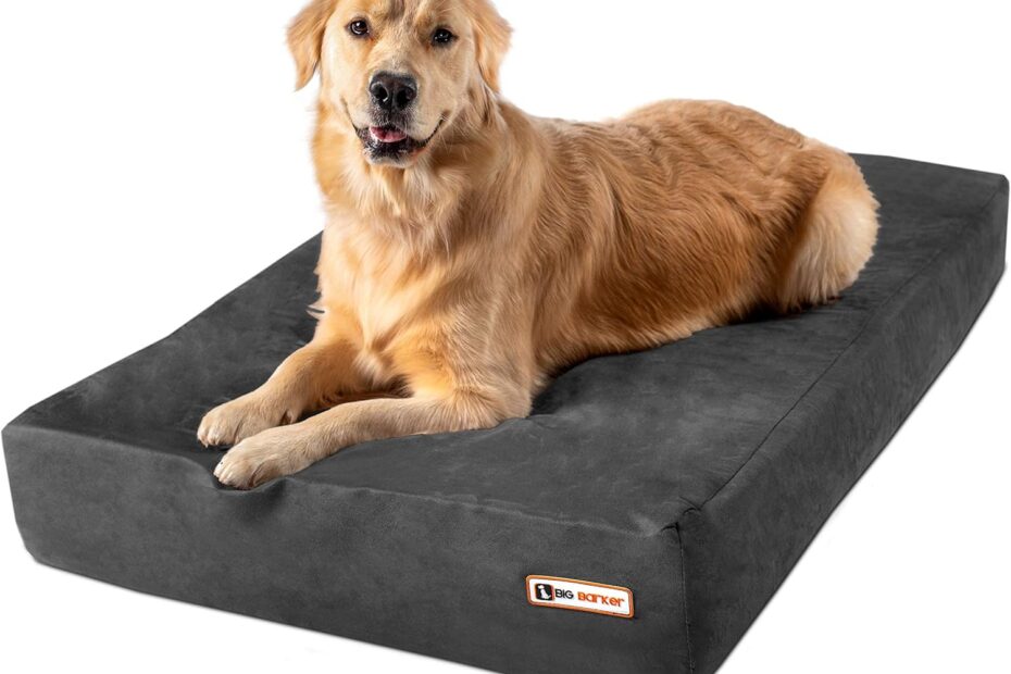 Unleash Comfort: Review of the Barker Beds Sleek Orthopedic Dog Bed