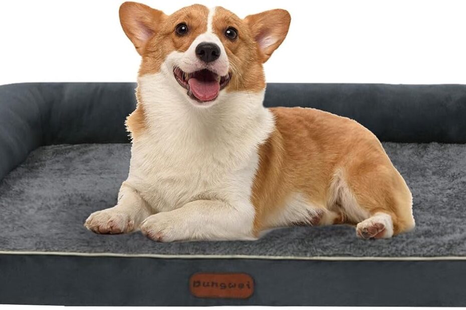 Unleash Comfort: Review of the Orthopedic Dog Bed for Small Pups!