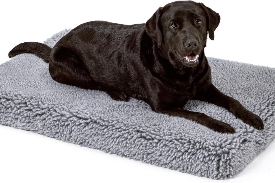 Unleash Comfort: Stoutwool's Indestructible Dog Bed for Aggressive Chewers