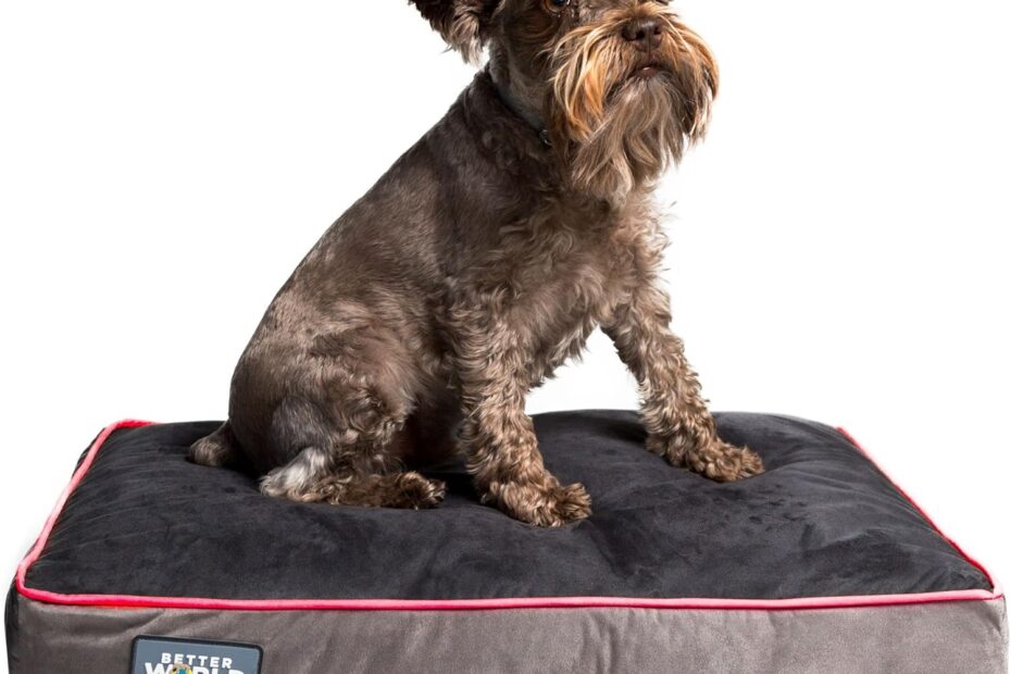 Unleash Comfort: The Ultimate Orthopedic Dog Bed for Your Aging Pup!