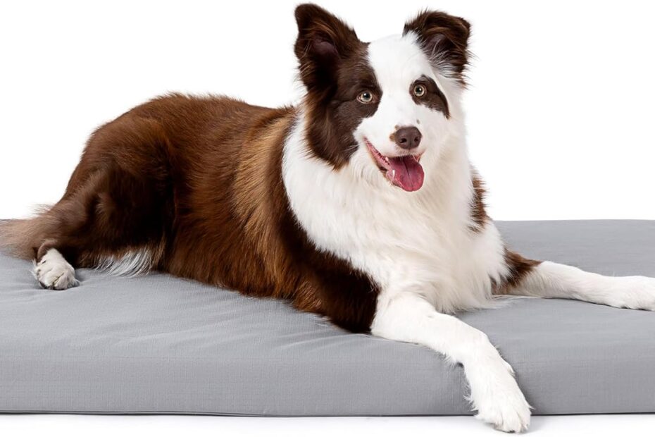 Unleash Durability: Review of the Cybarmour Indestructible Dog Bed for Aggressive Chewers