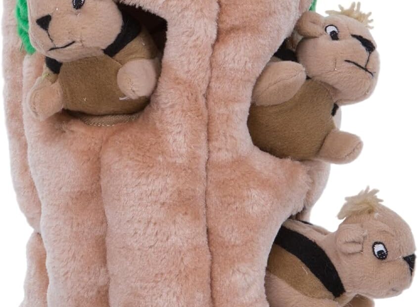 Unleash the Fun: Outward Hound Hide A Squirrel XL Dog Toy Review!