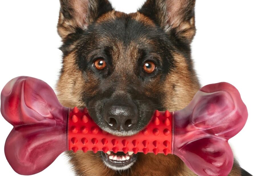 Unleash Toughness: Apasiri Beef Flavor Chew Bone for Aggressive Chewers!