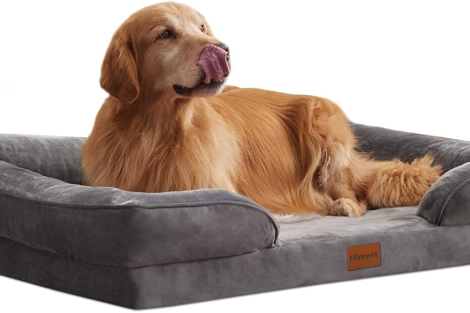 Unmatched Comfort for Your XL Pup: A Review of the Orthopedic Dog Bed