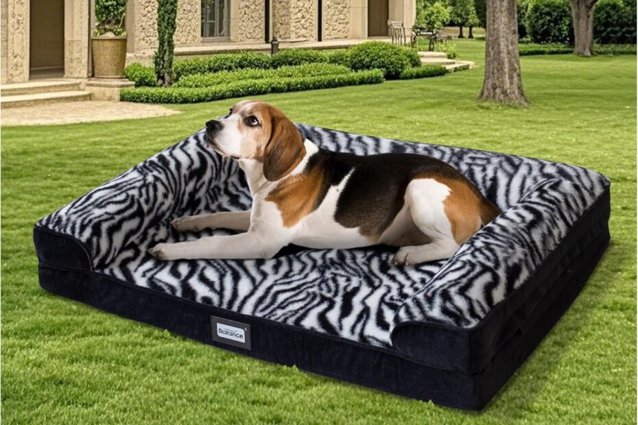 Unwind in Luxury: A Review of the BALANCE Orthopedic Dog Bed for Large Dogs