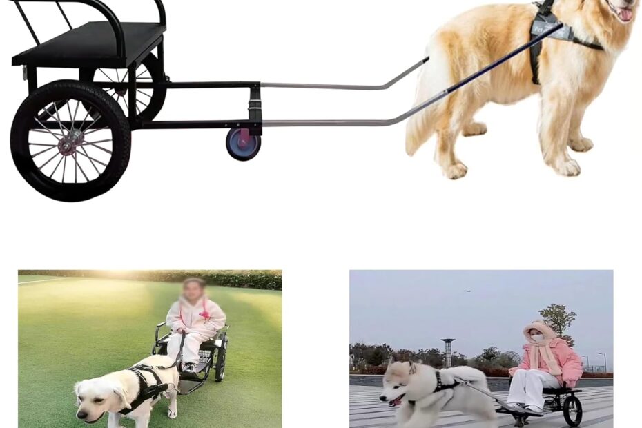 Adventure Awaits: The Perfect Dog Trailer for All Breeds!