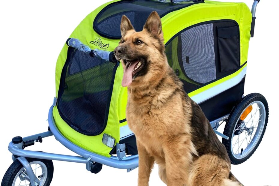 Adventure Awaits: Unleash Fun with the Booyah Extra Large Pet Bike Trailer!