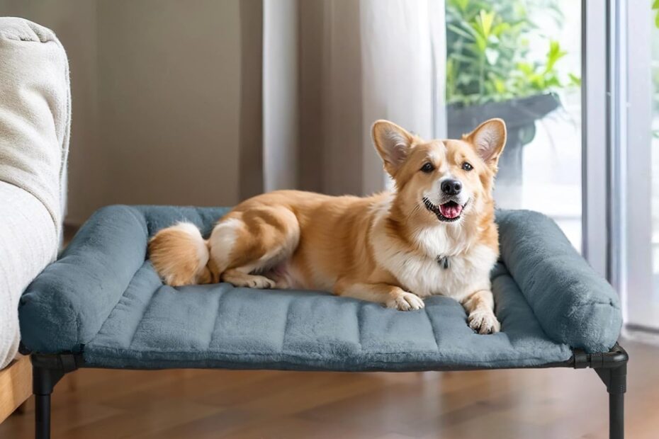 Beat the Heat: Veehoo Cooling Elevated Dog Bed Review