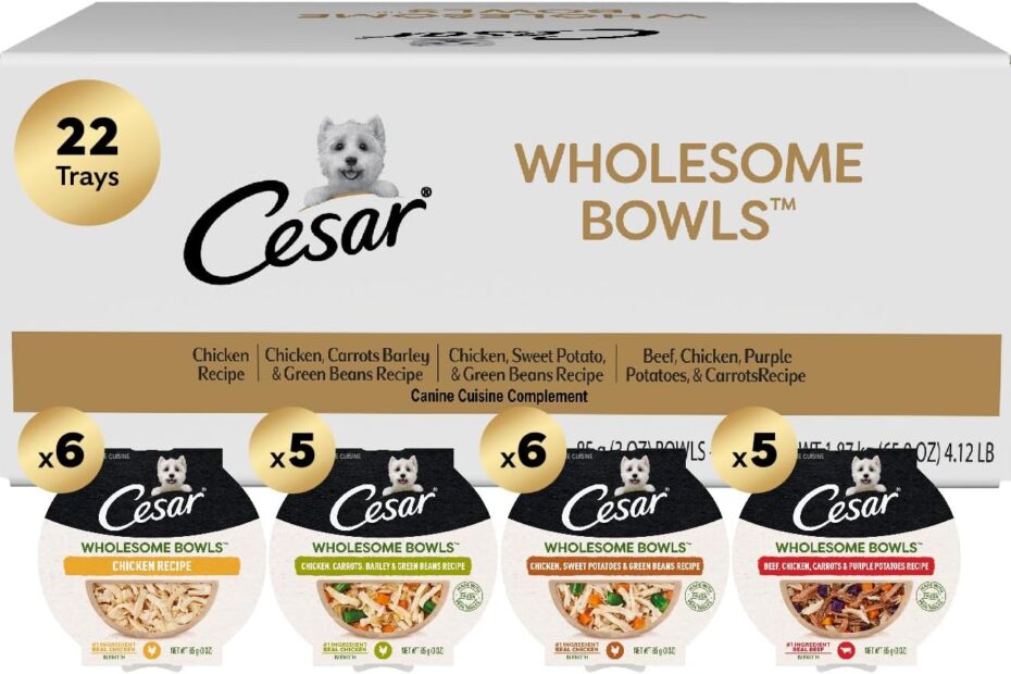 Cesar Wholesome Bowls: The Ultimate Review of the Delicious Dog Food Variety Pack!