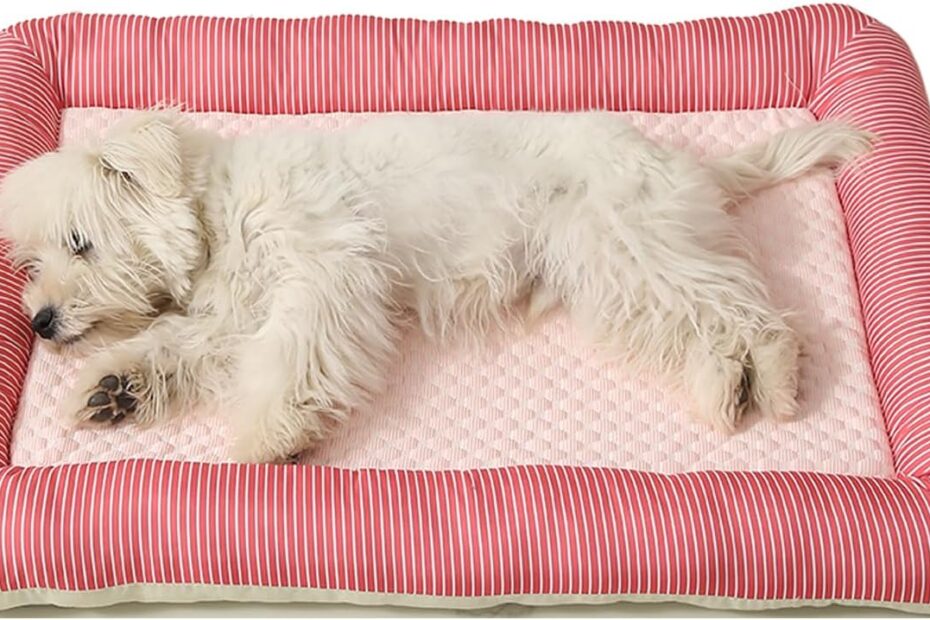 Chill Out: The Perfect Cooling Dog Bed for Your Furry Friends!