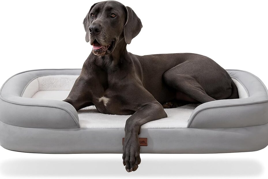 Comfort Meets Durability: The Ultimate Guide to the Soft Touch XL Orthopedic Dog Bed