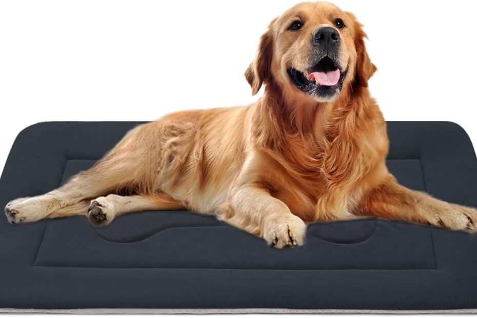 Comfy Comfort: JoicyCo Large Dog Bed Review for Pawsitively Happy Pets