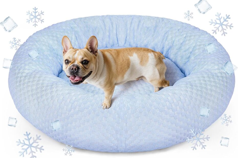 Cozy Canine Bliss: Review of the Donut Dog Bed for Ultimate Summer Comfort