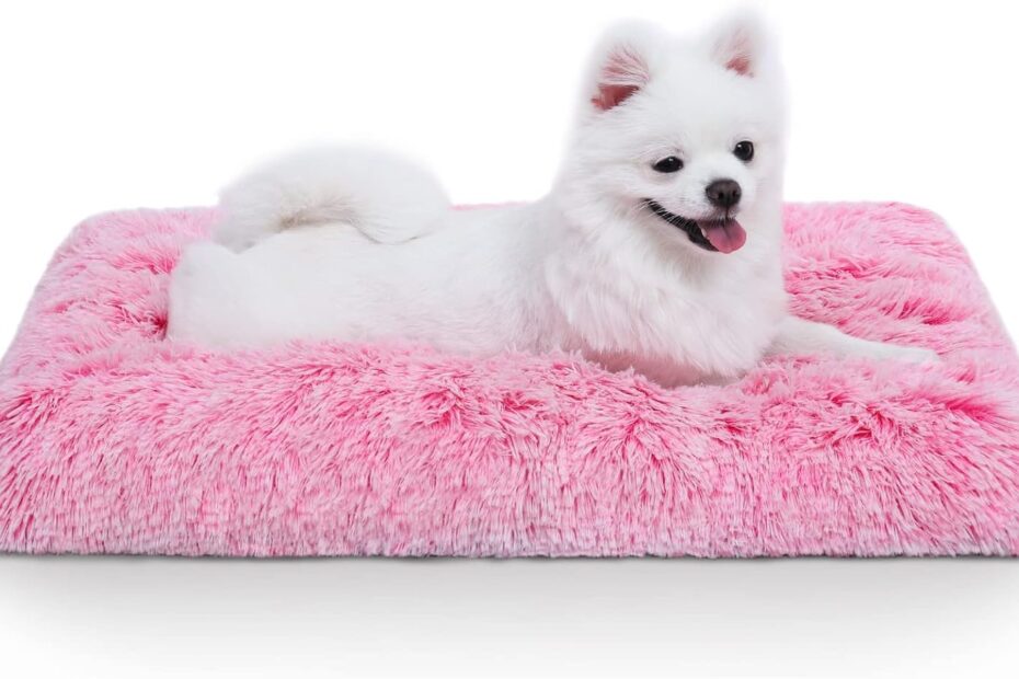Cozy Comfort: A Review of the Vonabem Small Dog Bed Crate Pad for Your Furry Friend