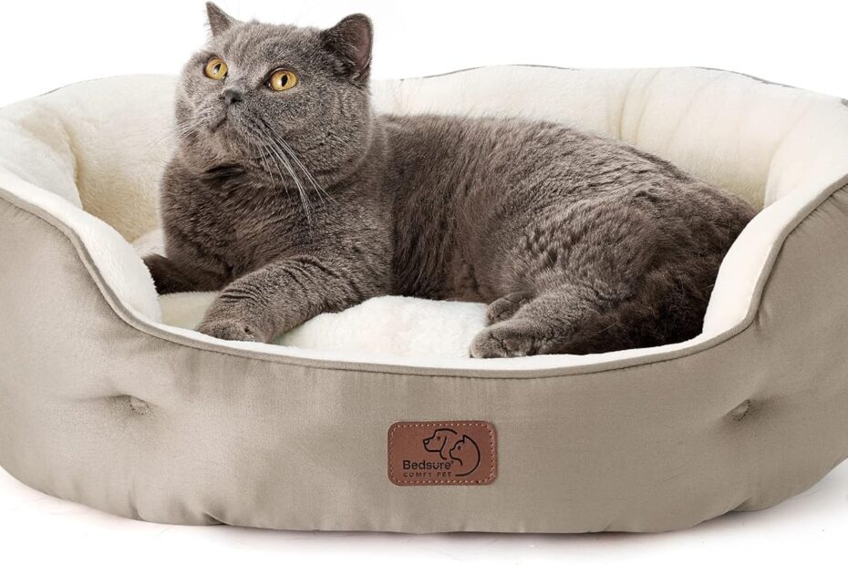 Cozy Comfort: Bedsure Dog Beds Review for Small Pets