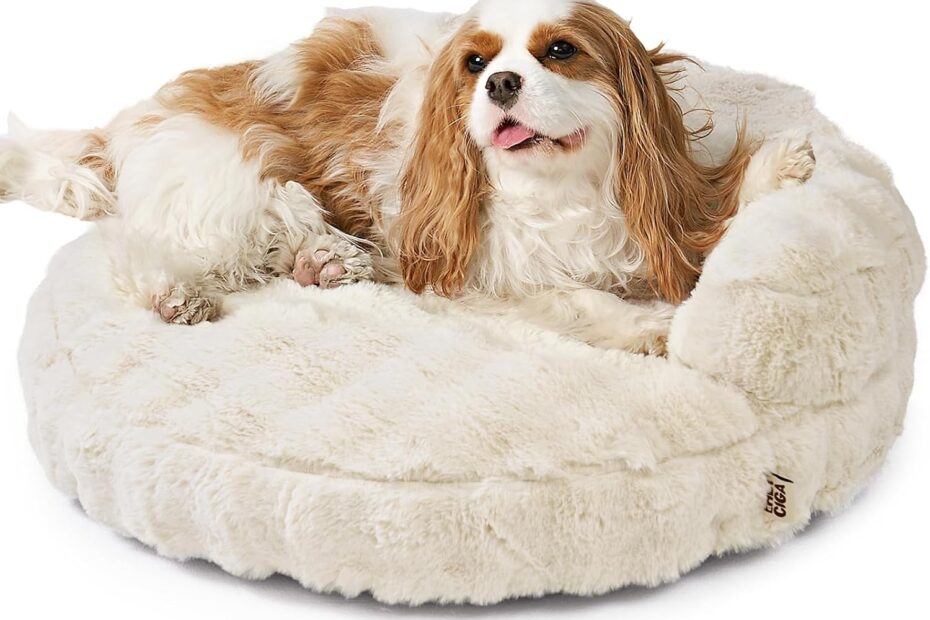 Cozy Comfort: EHEYCIGA Small Dog Bed & Cat Couch Review