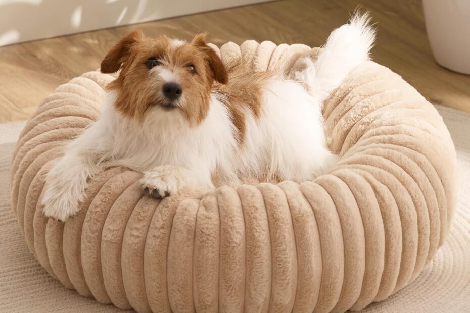 Cozy Comfort for Your Pooch: Review of the Bedsure Donut Small Dog Bed