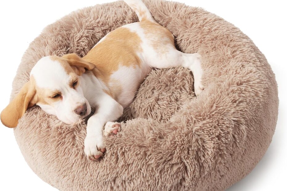 Cozy Comfort for Your Pup: Bedsure Calming Dog Bed Review