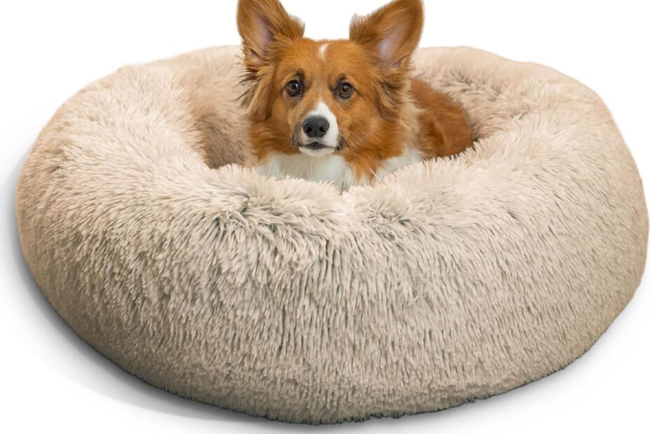 Cozy Comfort: Review of the Best Friends by Sheri Calming Donut Pet Bed