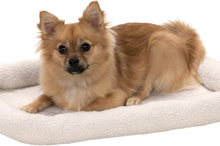 Cozy Comfort: Review of the Furhaven Dog Bed for Small Pets