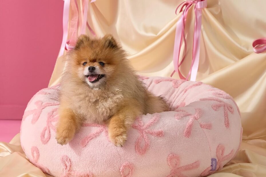 Cozy Comfort: Review of the LE SURE Donut Small Dog Bed - The Perfect Calming Retreat for Your Pet!