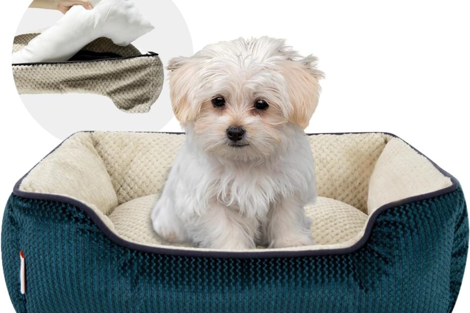 Cozy Comfort: Review of the Miguel Small Dog & Cat Bed with Removable Cover