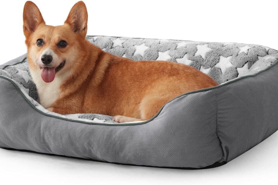 Cozy Comfort: SIWA MARY Washable Dog Bed Review for Medium to Large Pups