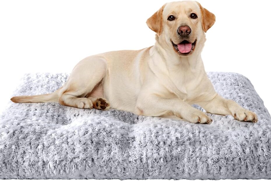 Cozy Comfort: The JOLLYVOGUE Washable Dog Bed Review