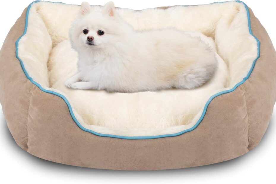 Cozy Comfort: The Perfect Small Dog and Cat Bed Review!