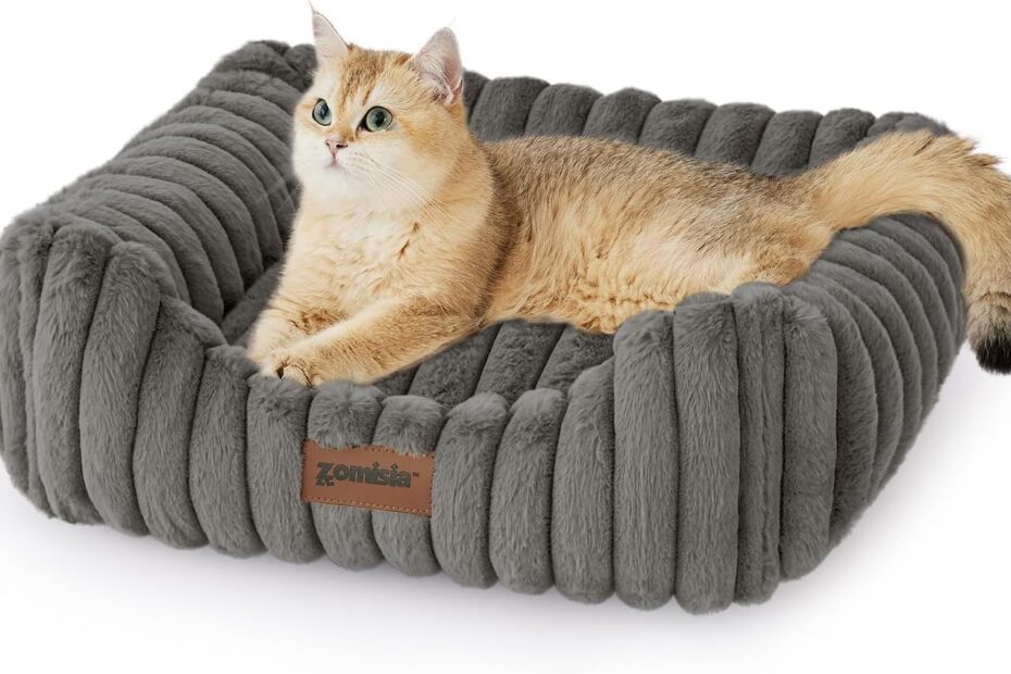 Cozy Comfort: The Ultimate Review of Small Orthopedic Dog Beds