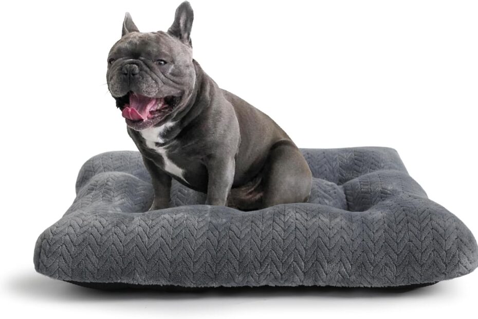 Cozy Comfort: The Ultimate Review of the 24" Small Dog Bed for Crate!