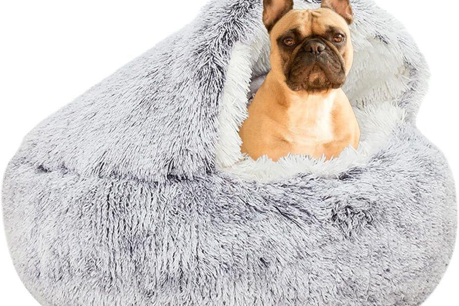 Cozy Retreat: The YUDANSI Hooded Bed for Small Dogs and Cats Reviewed