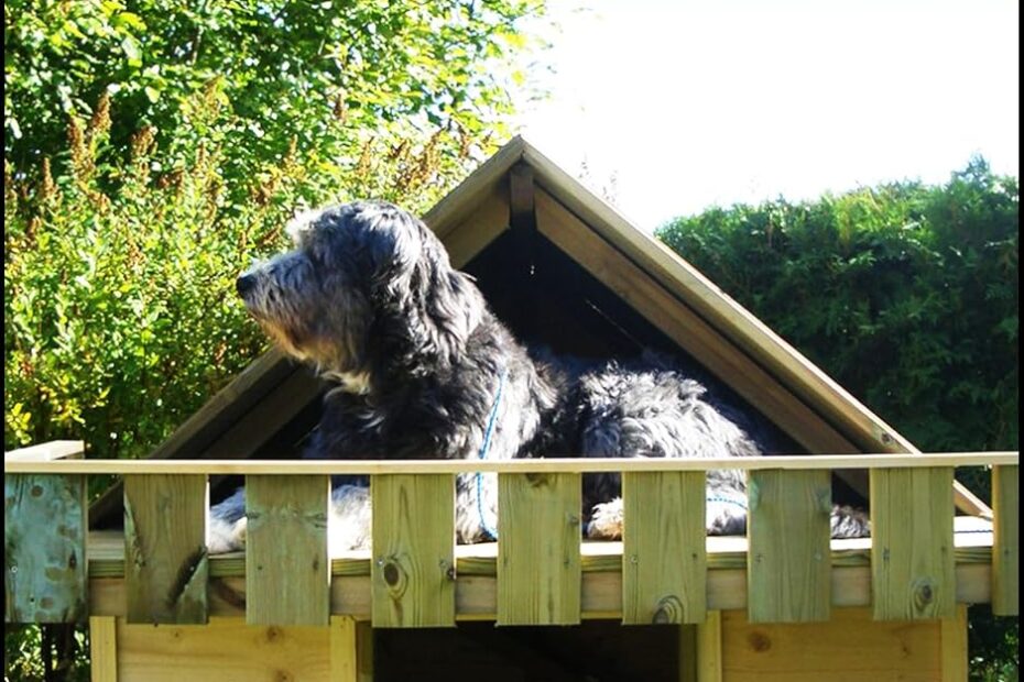 Create the Perfect Retreat: Build Your Dog a Cozy Outdoor House!