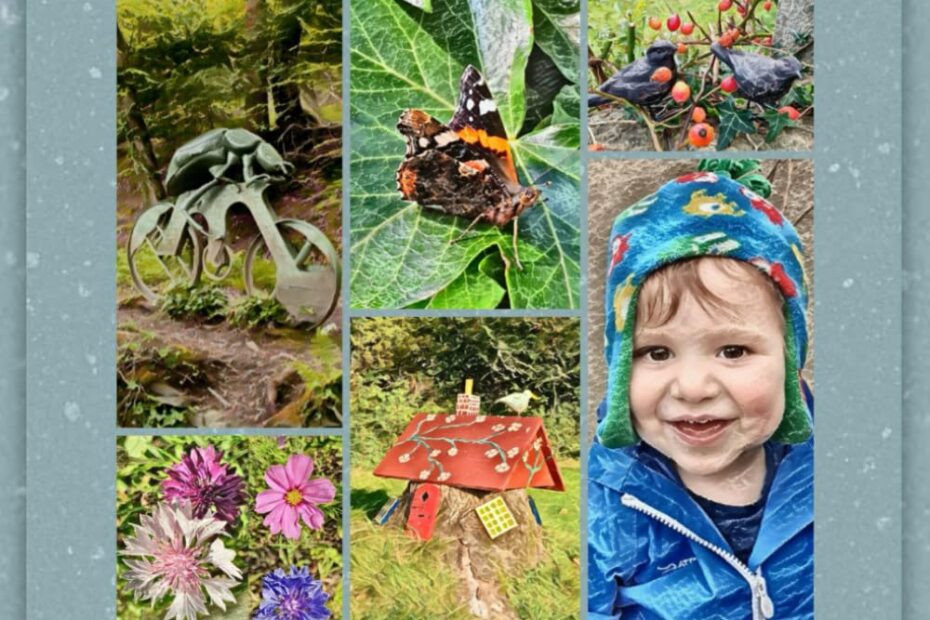 Discover Adventure with Wilmot and the Nittickles: A Magical Journey Beyond the Garden!