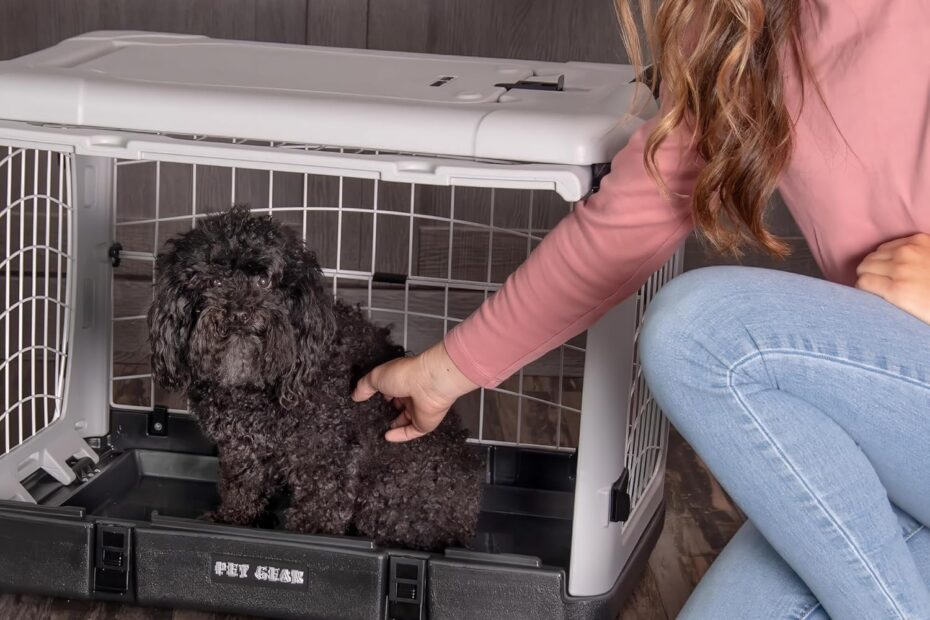 Discover Comfort and Convenience with Pet Gear’s 4 Door Steel Crate for Pets!