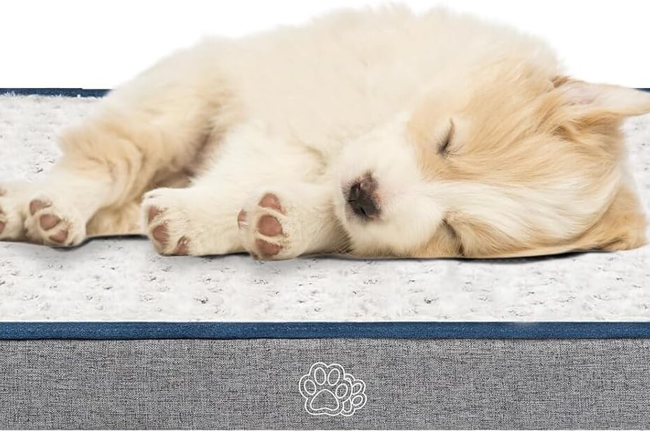 Discover Comfort: EMPSIGN Reversible Dog Bed Review for All Breeds!