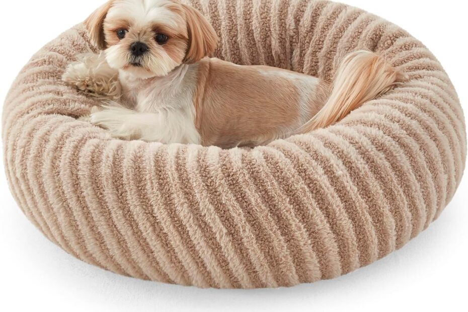 Discover Comfort: MIXJOY Donut Dog Bed Review for Your Small Pets!