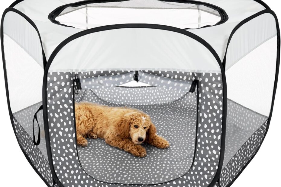 Discover Comfort on the Go: Furhaven Portable Dog Playpen Review