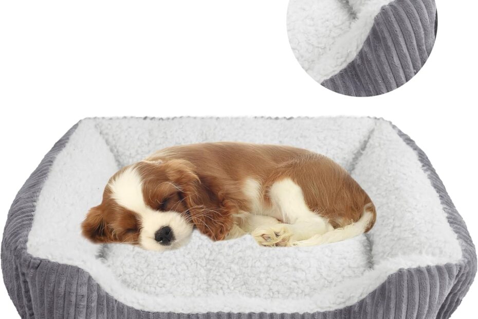 Discover Comfort: YUNIQUE Large Dog Bed Review - Plush and Cozy for Your Furry Friend!